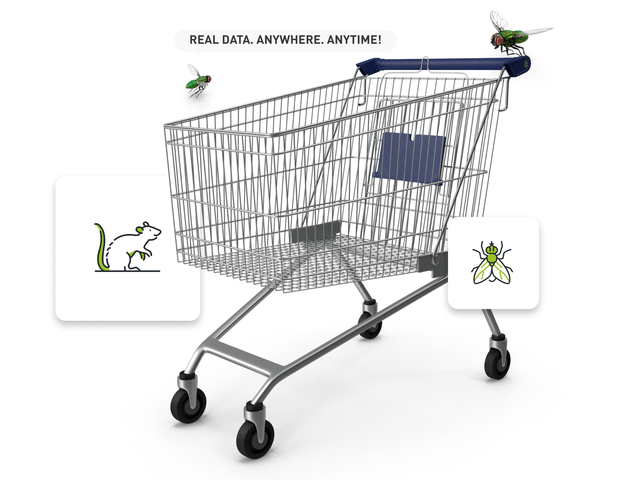 An image of a shopping cart with graphics and two flies, one says "Real data. Anywhere. Anytime"