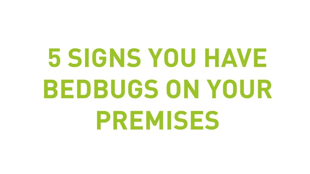 5 Signs You Have Bedbugs On Your Premises