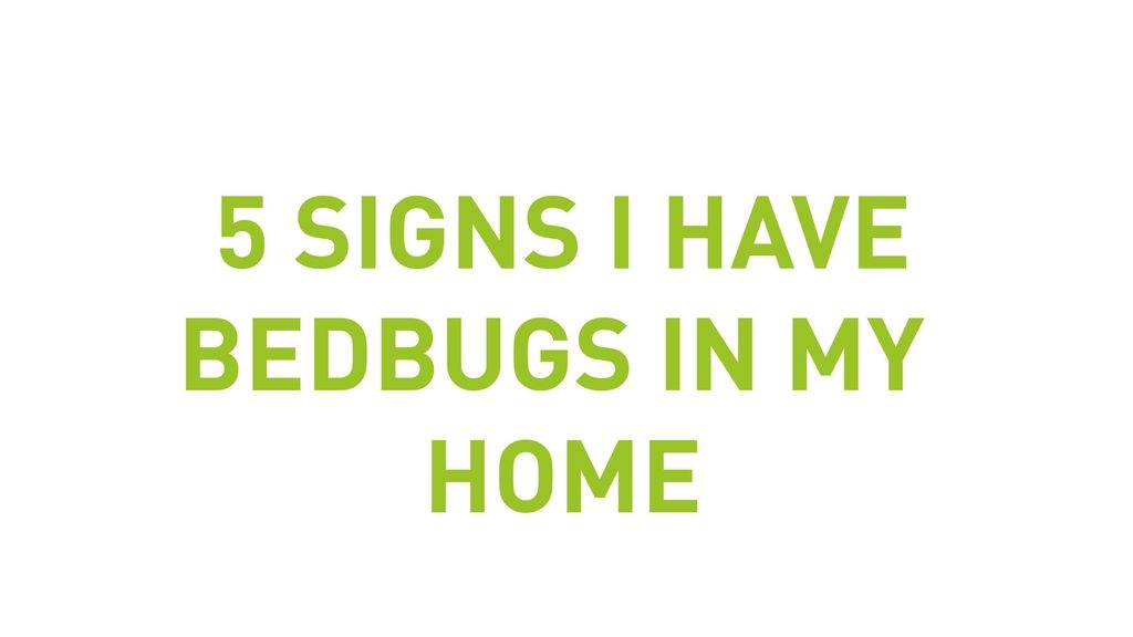 5 Signs I Have Bedbugs In My Home