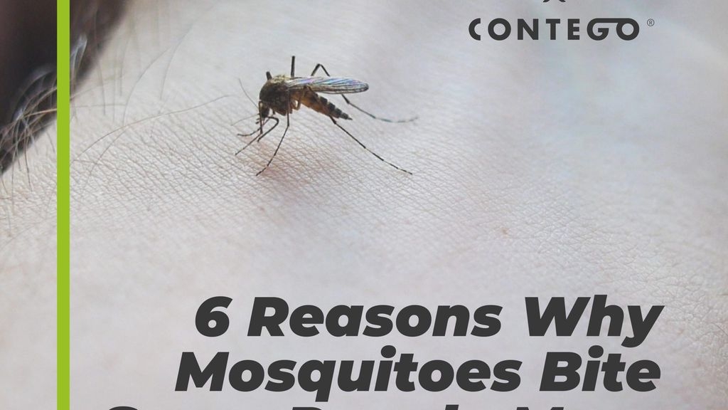 6 Reasons Why Mosquitoes Bite Some People More Than Others