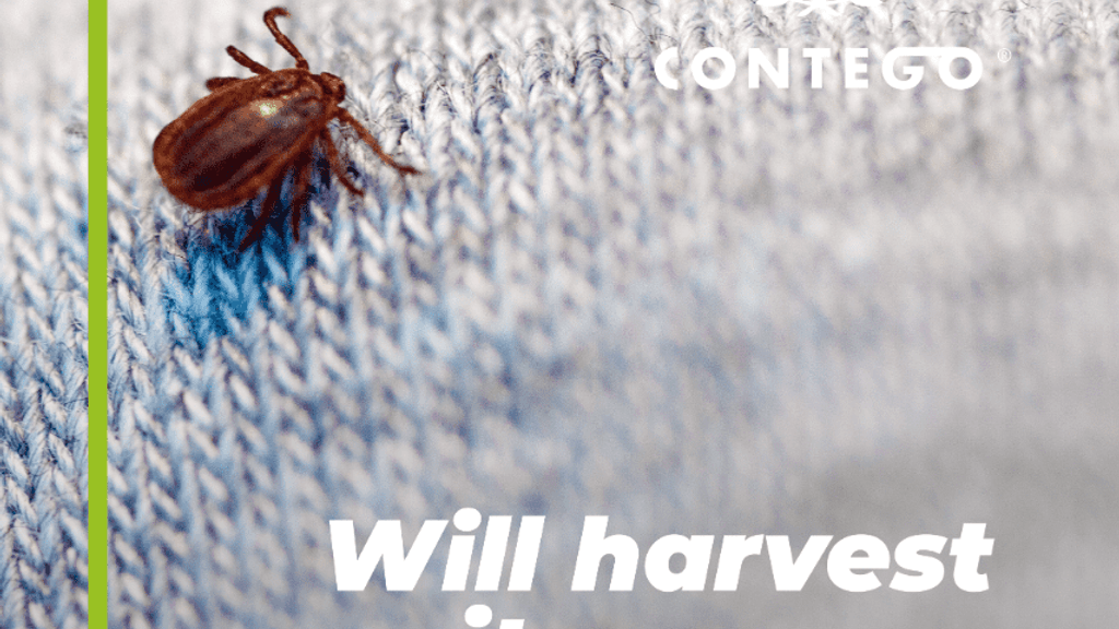 Will Harvest Mites Go on Their Own?