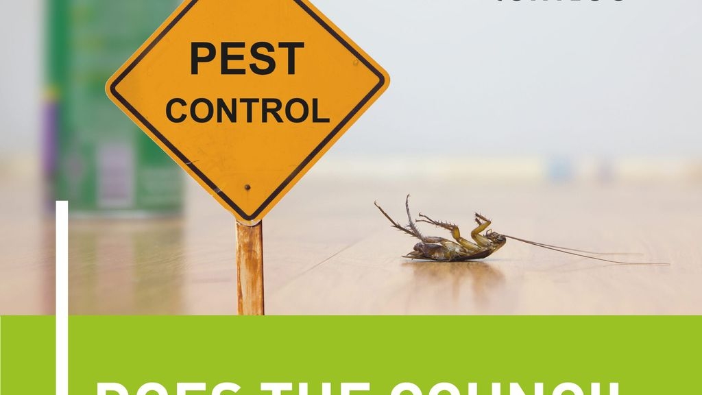 Does the Council Do Pest Control?