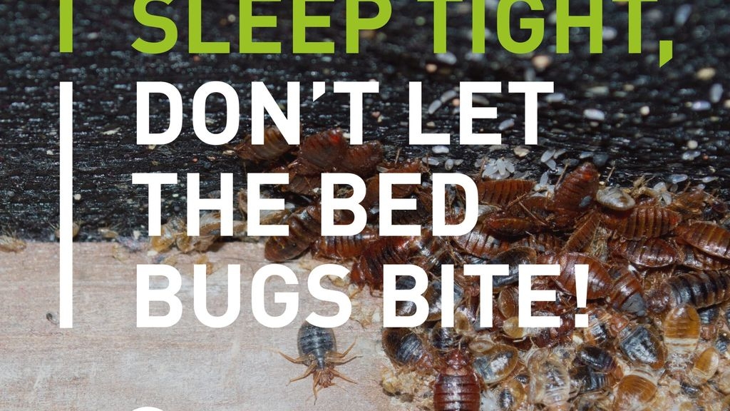 Good Night, Sleep Tight, Donâ€™t Let The Bed Bugs Bite!