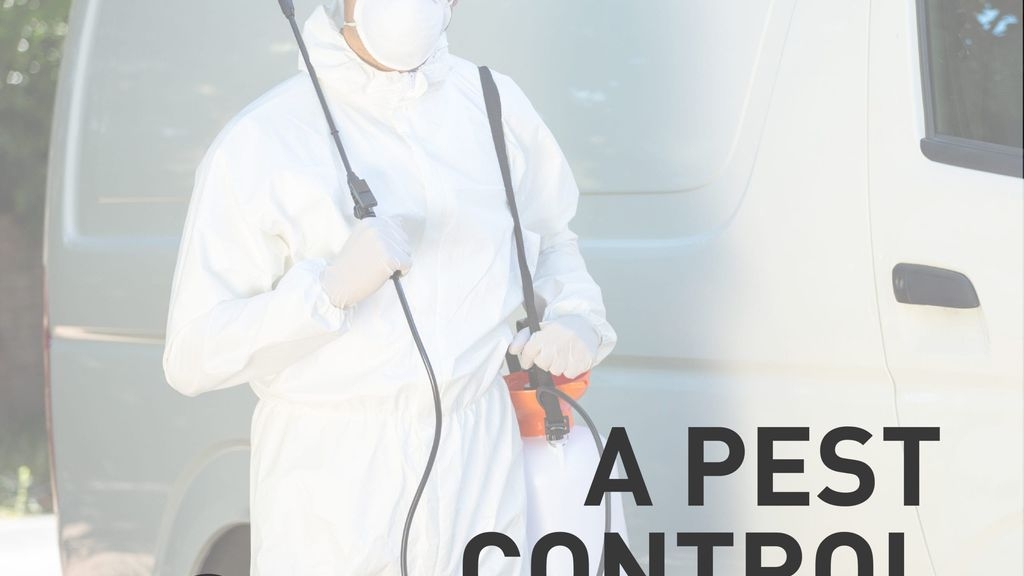 How to Choose a Pest Control Company?