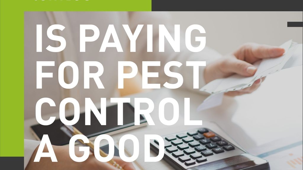 Is Paying More for Pest Control a Good Option?