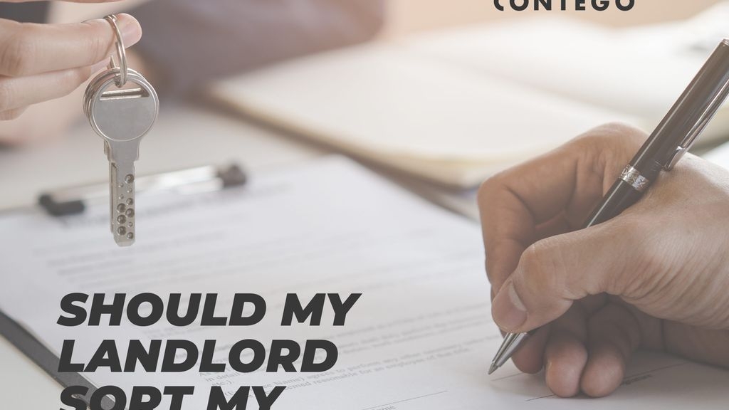 Should My Landlord Sort My Pest Control?