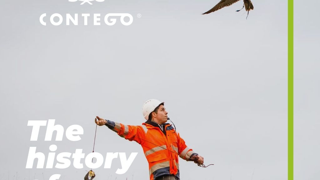 The History of Falconry in Pest Control