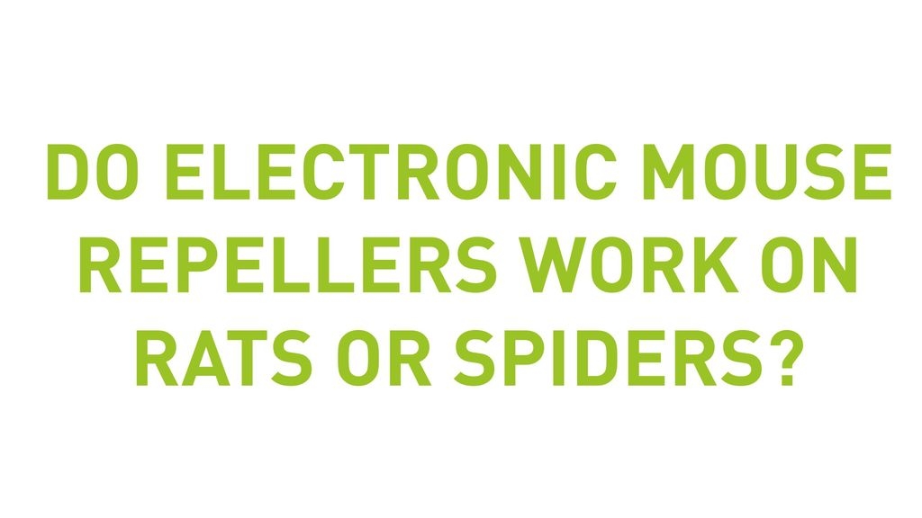 Do Electronic Mouse Repellers Work On Rats Or Spiders?