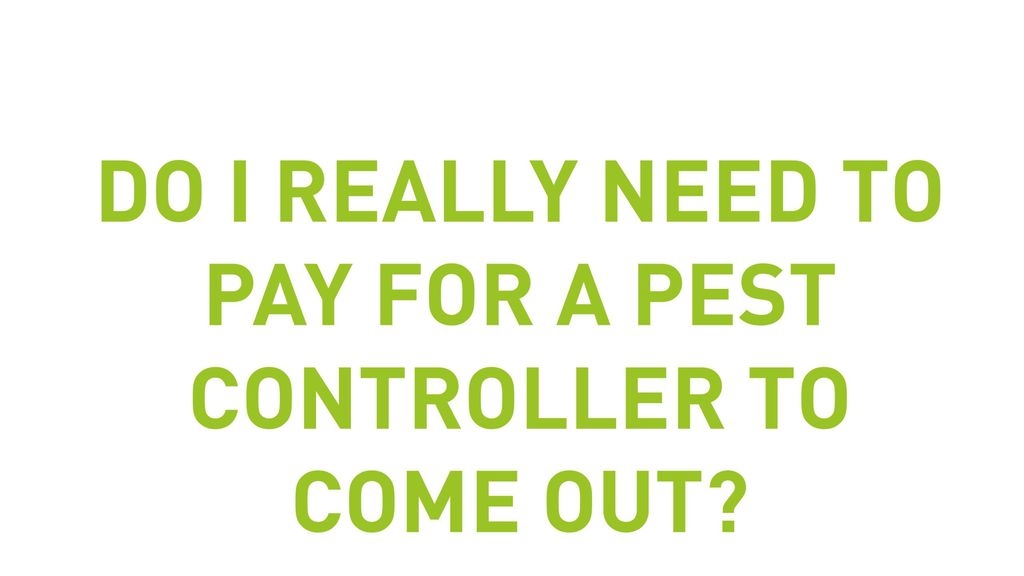 Do I Really Need To Pay For A Pest Controller To Come Out?