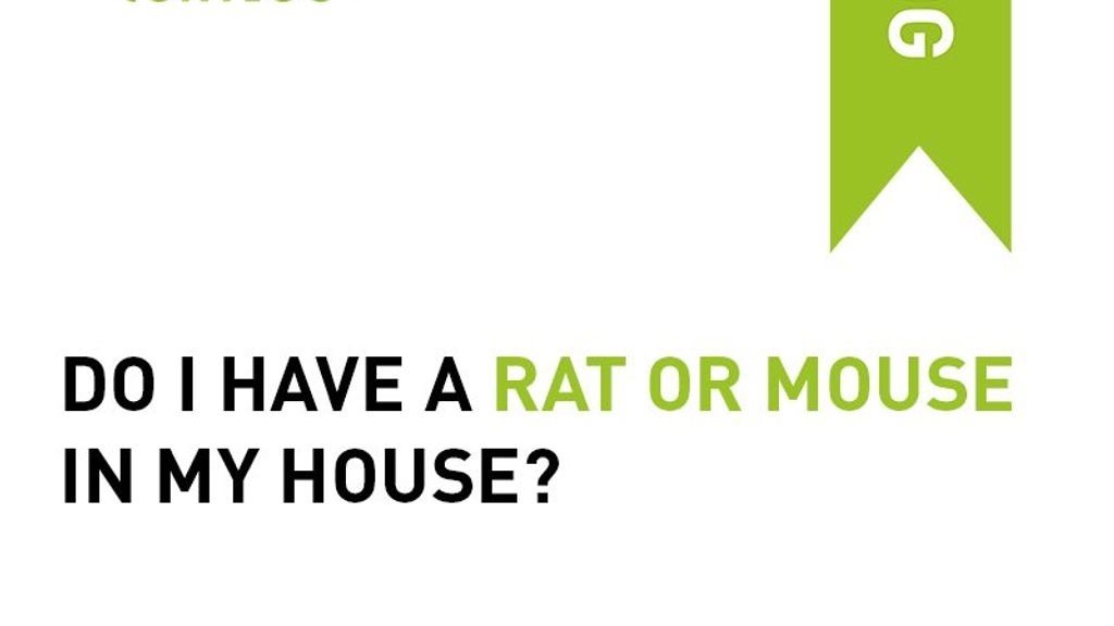 Do I Have a Rat or Mouse In My House?
