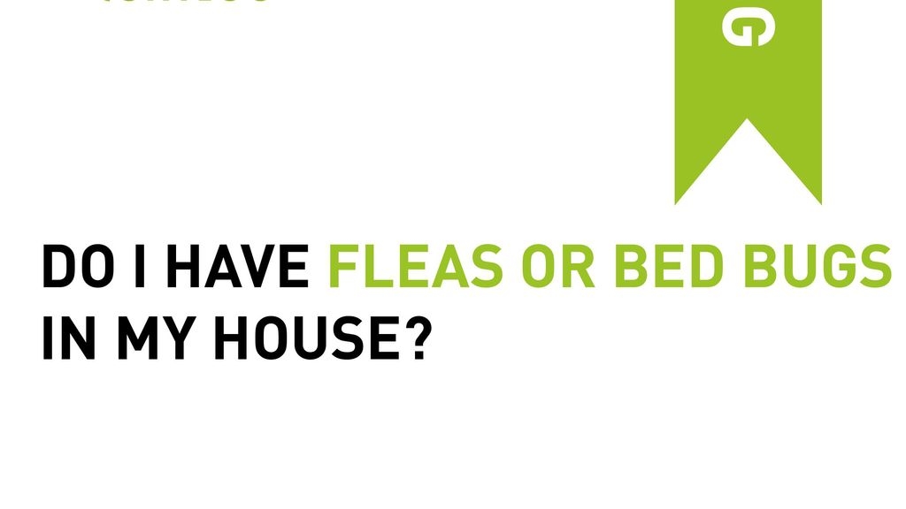 Do I Have Fleas or Bedbugs In My House?