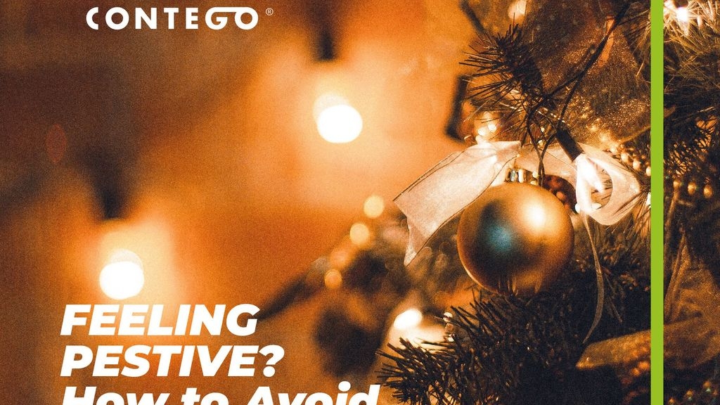 Feeling Pestive? How to Avoid Pests in your Christmas Tree