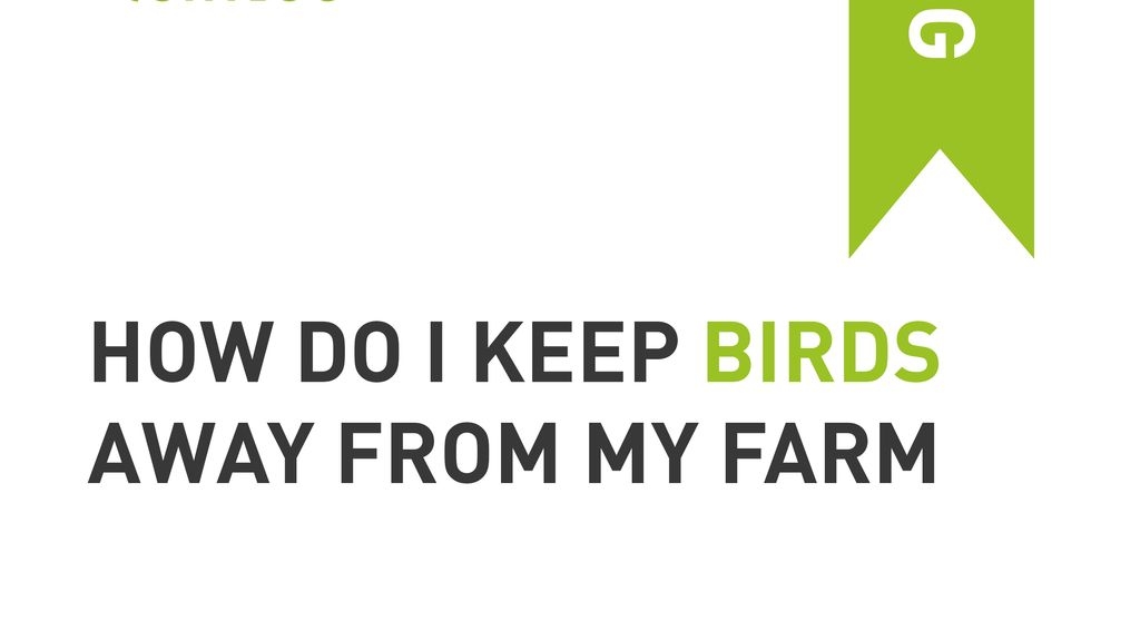 How do I Keep Birds Away from my Farm?