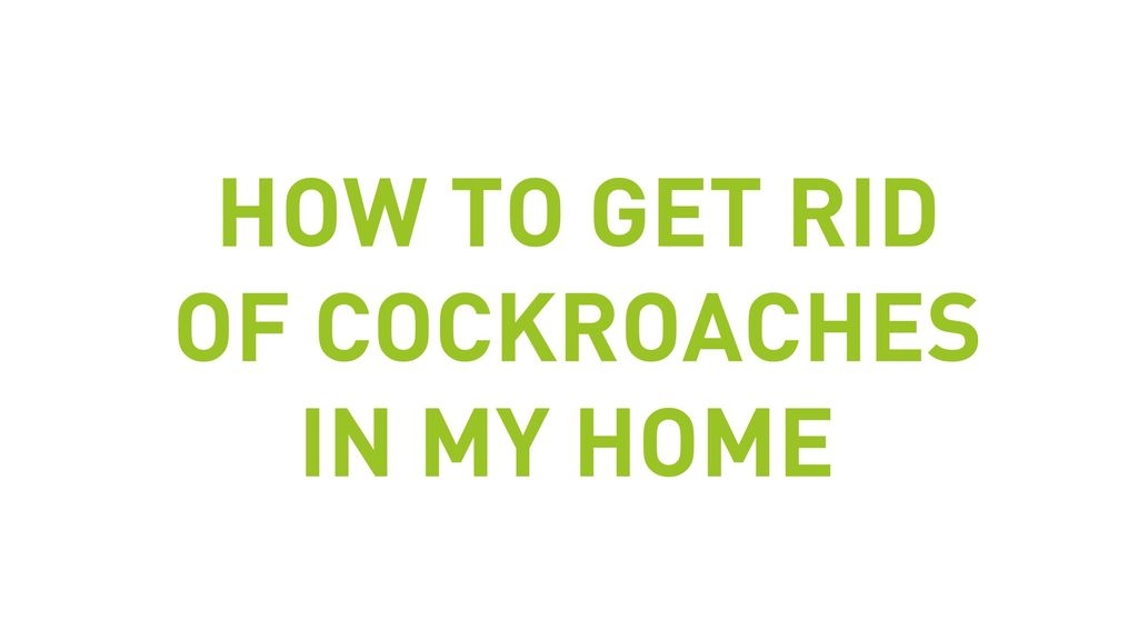 How To Get Rid Of Cockroaches In My Home