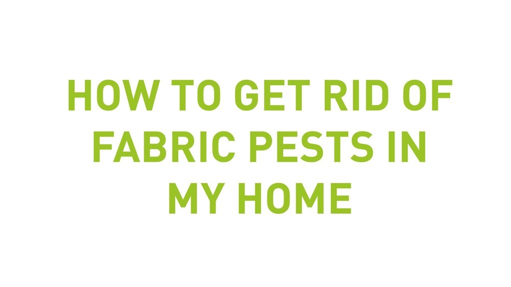 How To Get Rid Of Fabric Pests From My Home