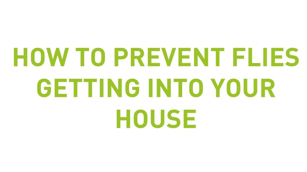 How To Prevent Flies From Getting Into Your House