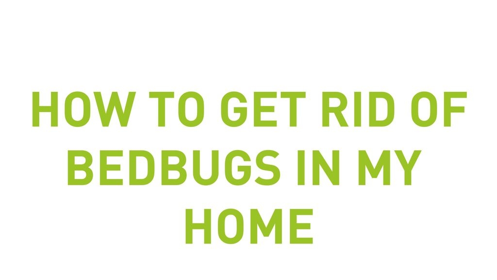 How To Get Rid Of Bedbugs In My Home