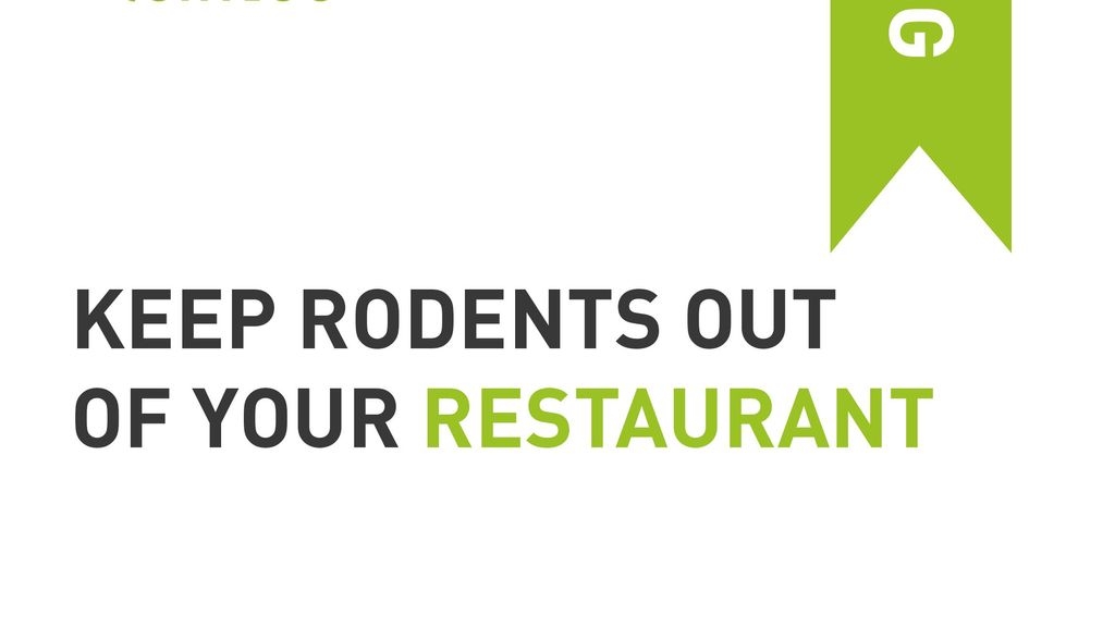 Keep Rodents Out of Your Restaurant