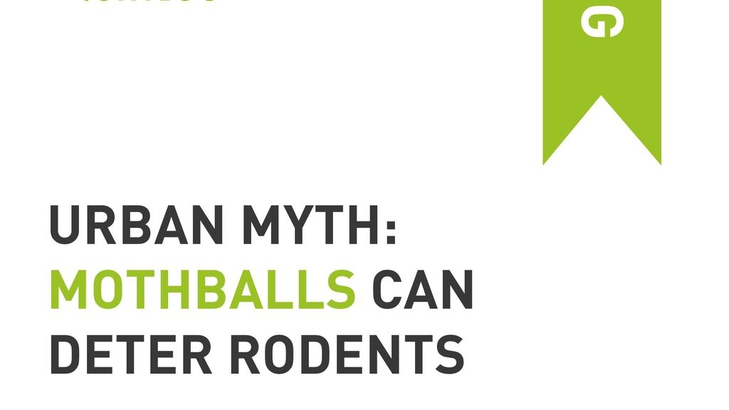 Urban Myth: Mothballs Can Deter Rodents
