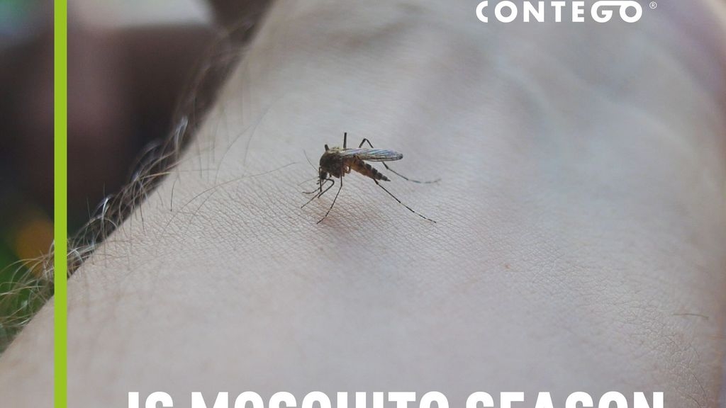 Is Mosquito Season Getting Closer?