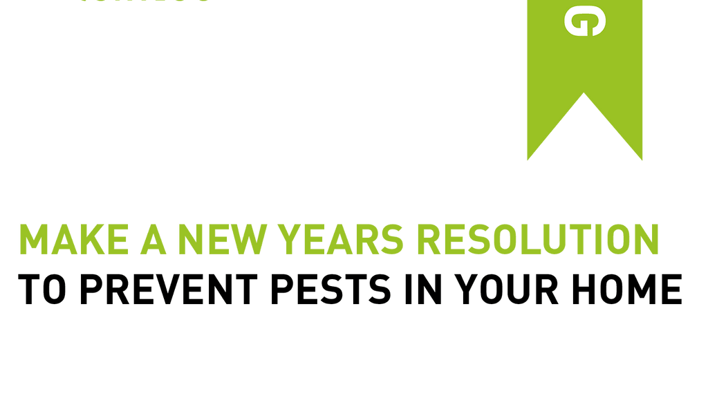 Make A New Year's Resolution To Prevent Pests In Your Home