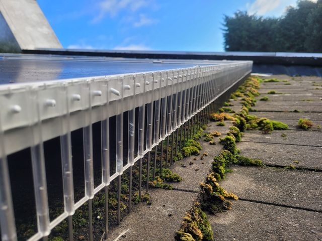 Solar Panel Proofing