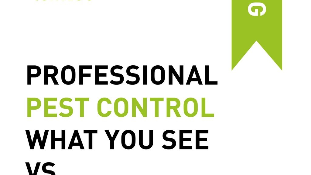 Professional Pest Control: What You See Versus What We See