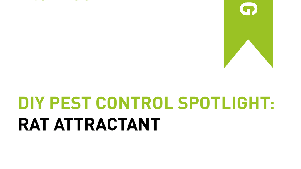 DIY Pest Control Product Spotlight: Rat Attractant