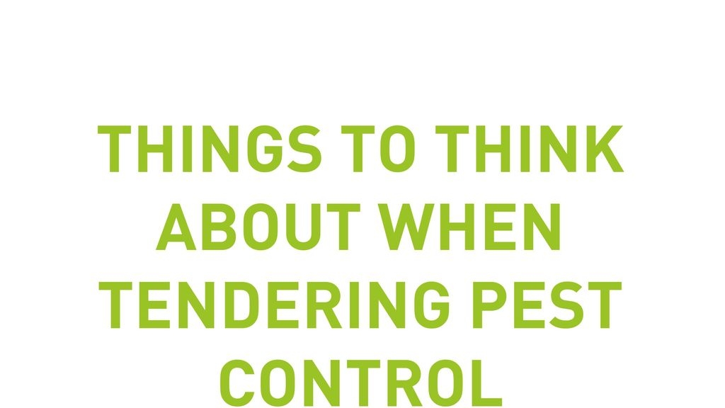 Things To Think About When Tendering Pest Control