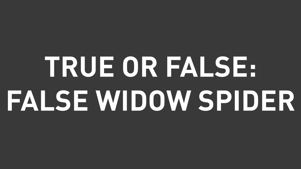 True Or False? False Widow Spider