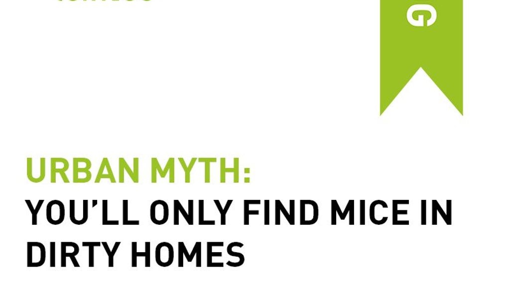 Urban Myth: You'll Only Find Mice In Dirty Homes