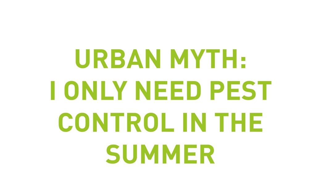 Urban Myth: I Only Need Pest Control In The Summer