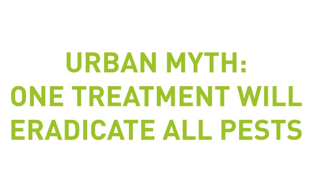 Urban Myth: One Treatment Will Eradicate All Pests