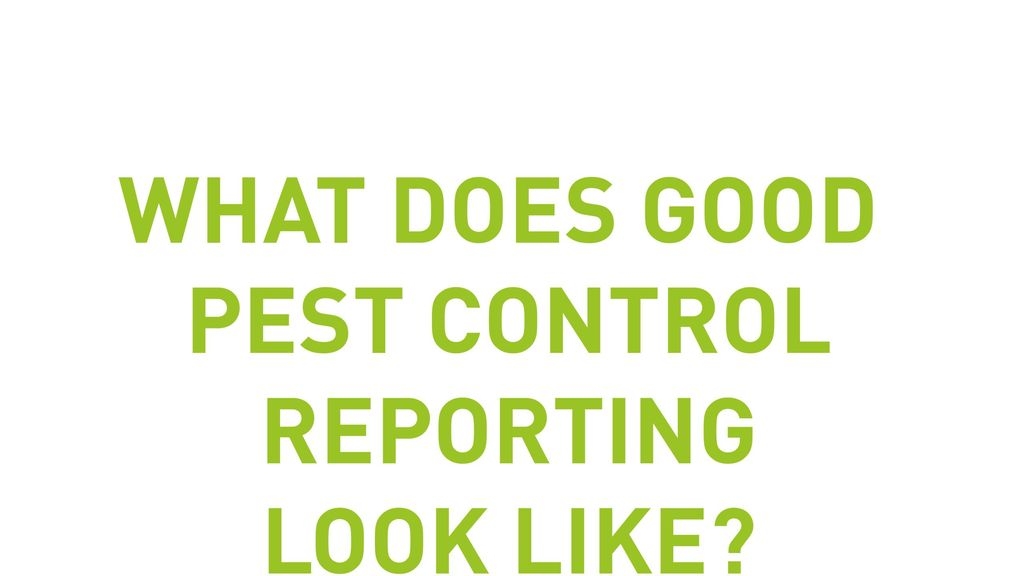 What Does Good Pest Control Reporting Look Like?