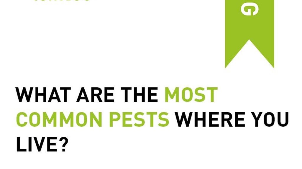 What Are The Most Common Pests Where You Live?