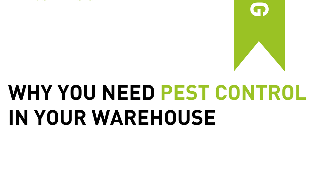 Why You Need Pest Control In Your Warehouse
