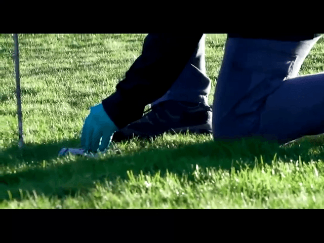 An employee placing a device on a lawn