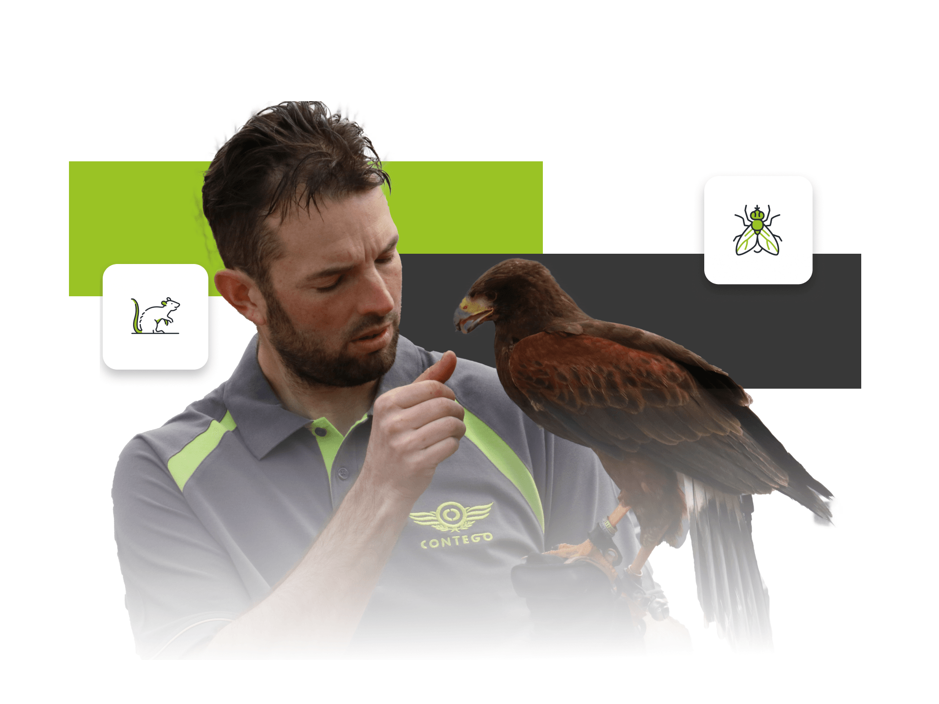 A technician holding a falcon with graphics in the background