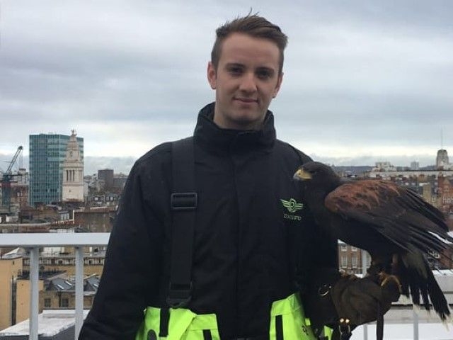 Employee holding a falcon
