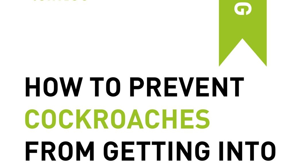 How to Prevent Cockroaches From Getting into Your House