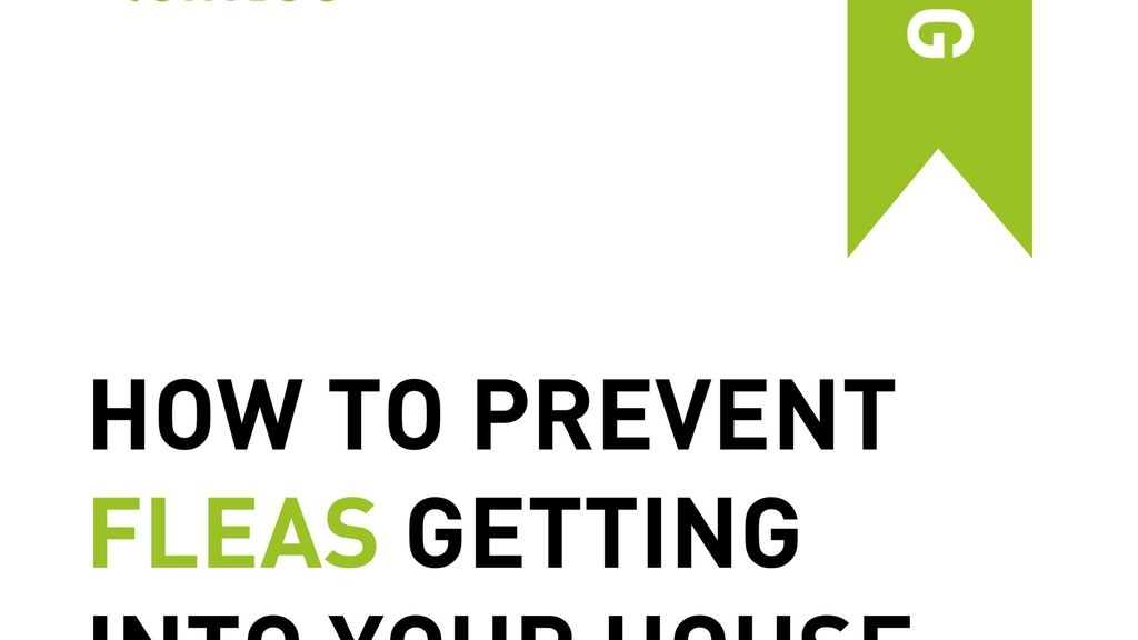 How to Prevent Fleas from Getting into Your House