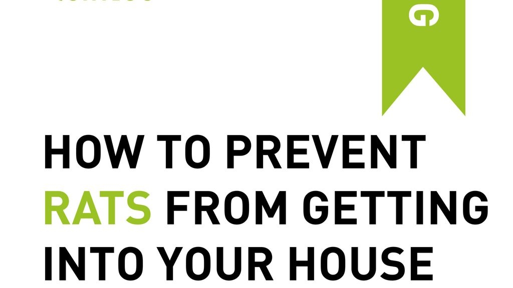 How to Prevent Rats from Getting Into Your House
