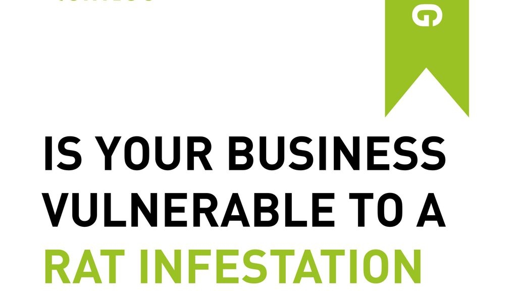 Is Your Business Vulnerable to a Rat Infestation This Winter?
