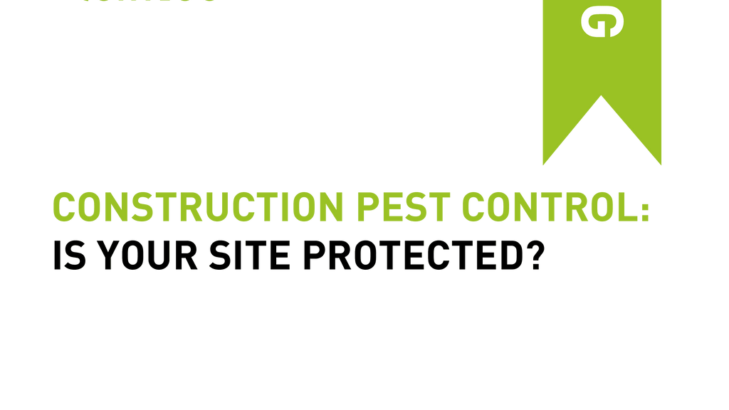 Construction Pest Control: Is Your Site Protected?