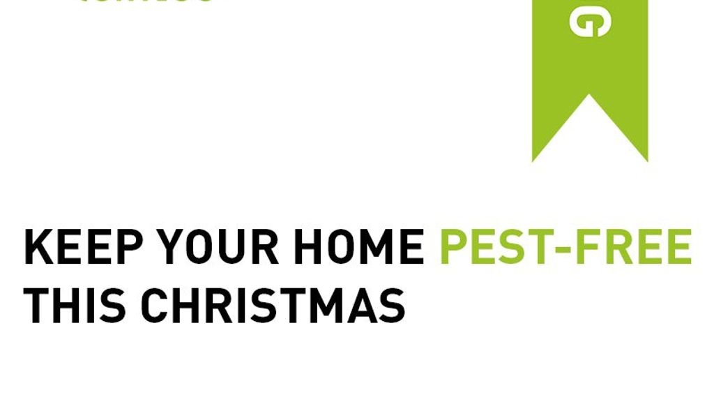 Keep Your Home Pest-Free This Christmas