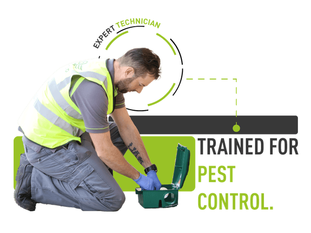 Technician with graphics and text saying "made for pest control"