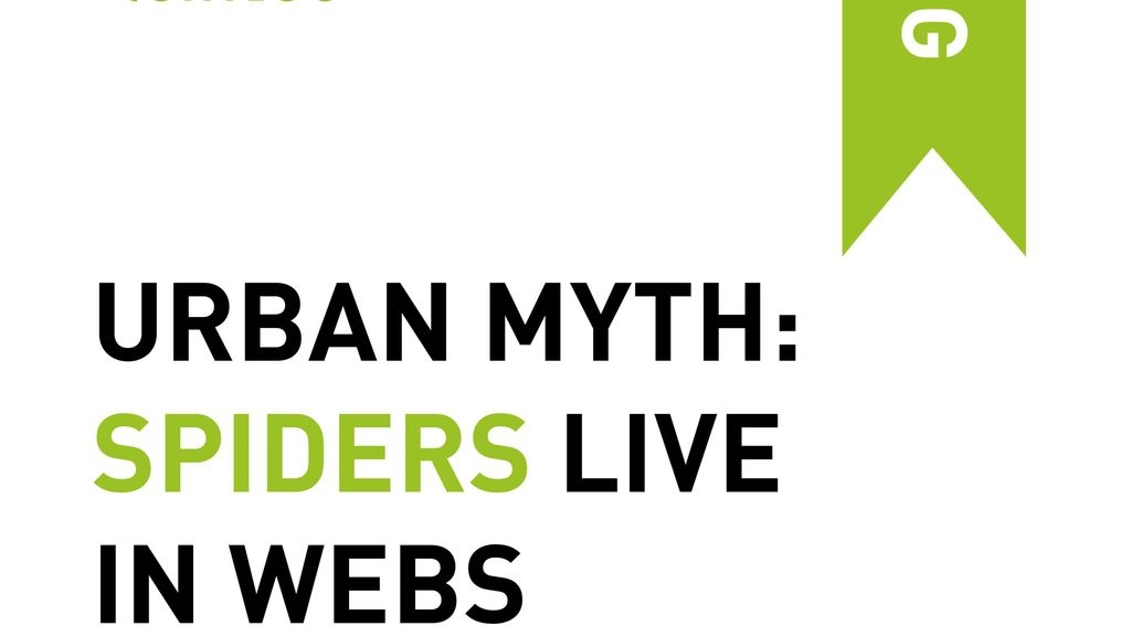 Urban Myth: Spiders Live in Webs