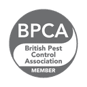 Repeat Pest Activity