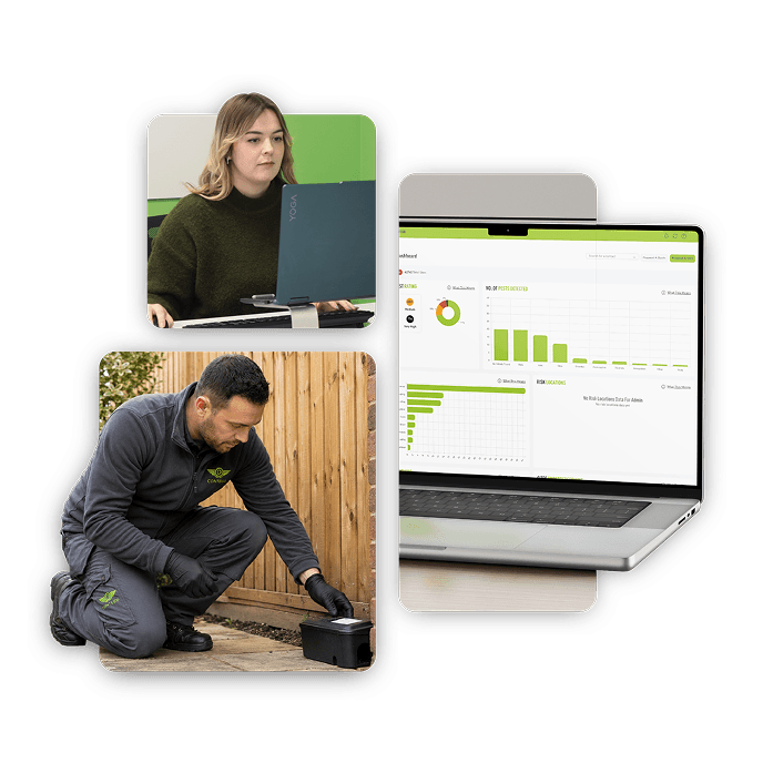A female operations manager looking at a computer screen, a male technician inspecting a trap, and a pest control compliance portal on a laptop
