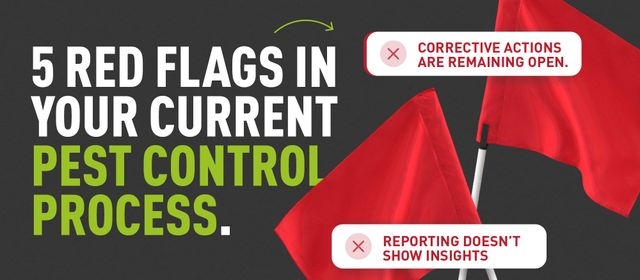 A graphic of 2 red flags with warning icons overlaying them and text which read "5 Red Flags In Your Current Pest Control Process"